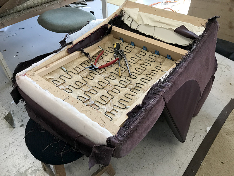 nosagveren in rug